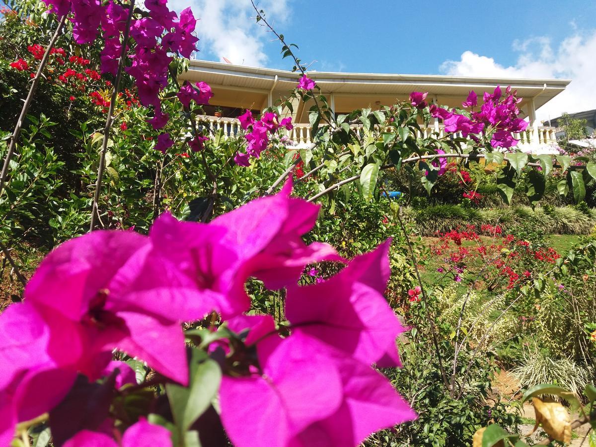 San Isidro De El General La Princesa Hotel מראה חיצוני תמונה