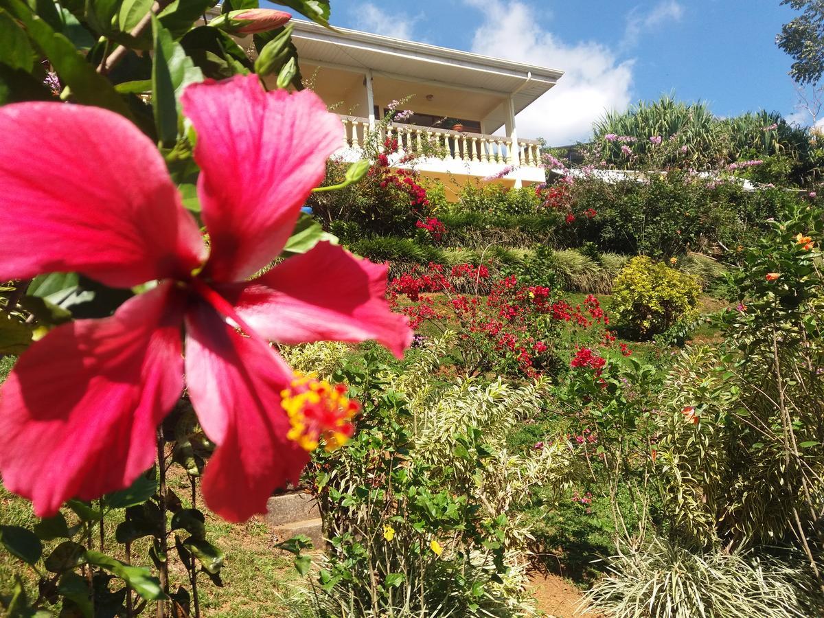 San Isidro De El General La Princesa Hotel מראה חיצוני תמונה