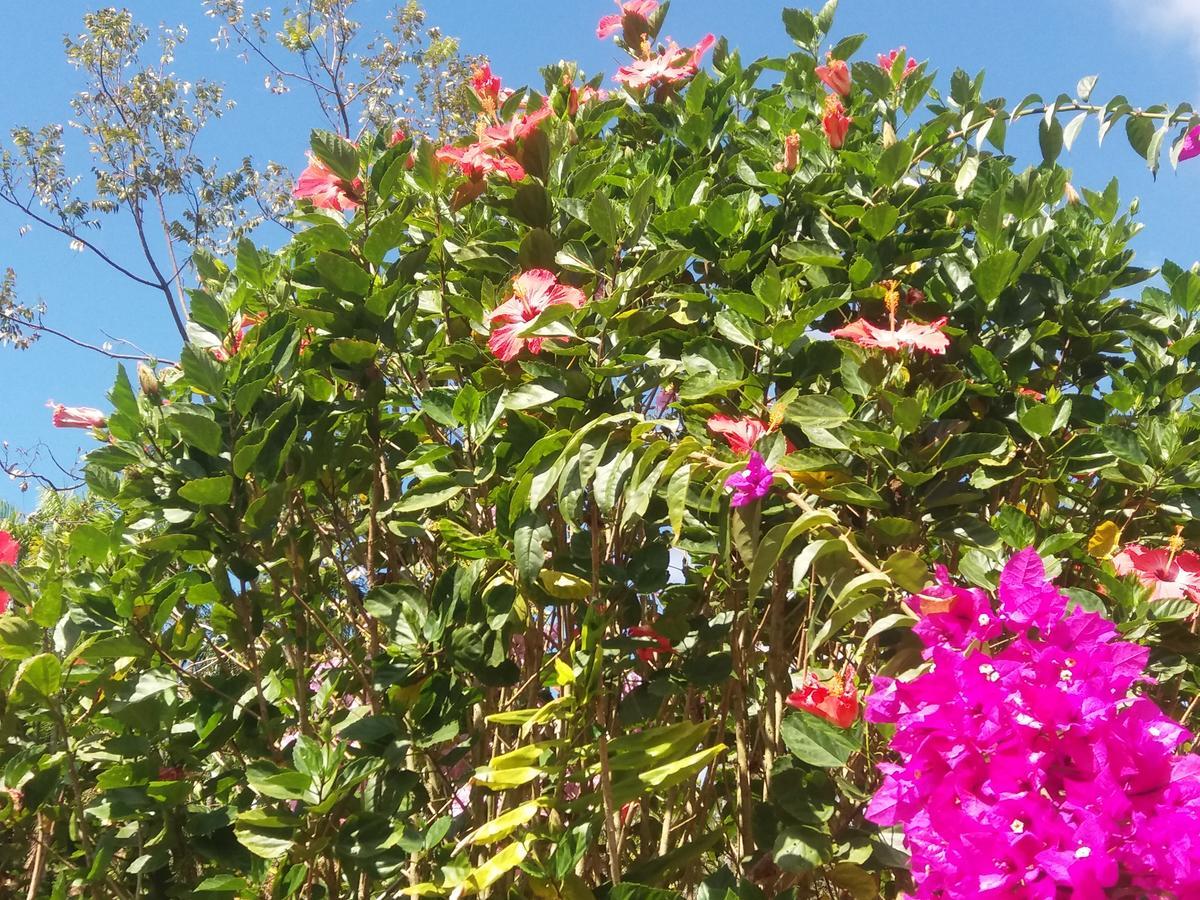 San Isidro De El General La Princesa Hotel מראה חיצוני תמונה