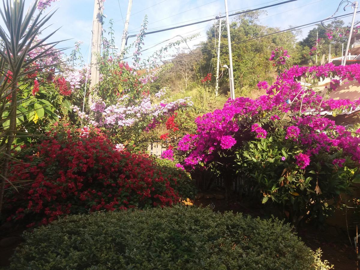 San Isidro De El General La Princesa Hotel מראה חיצוני תמונה