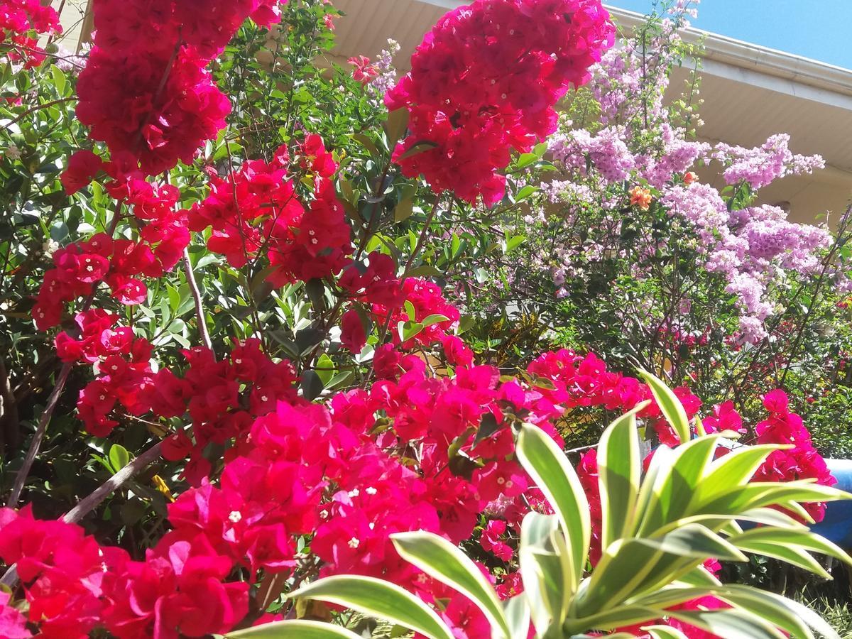 San Isidro De El General La Princesa Hotel מראה חיצוני תמונה