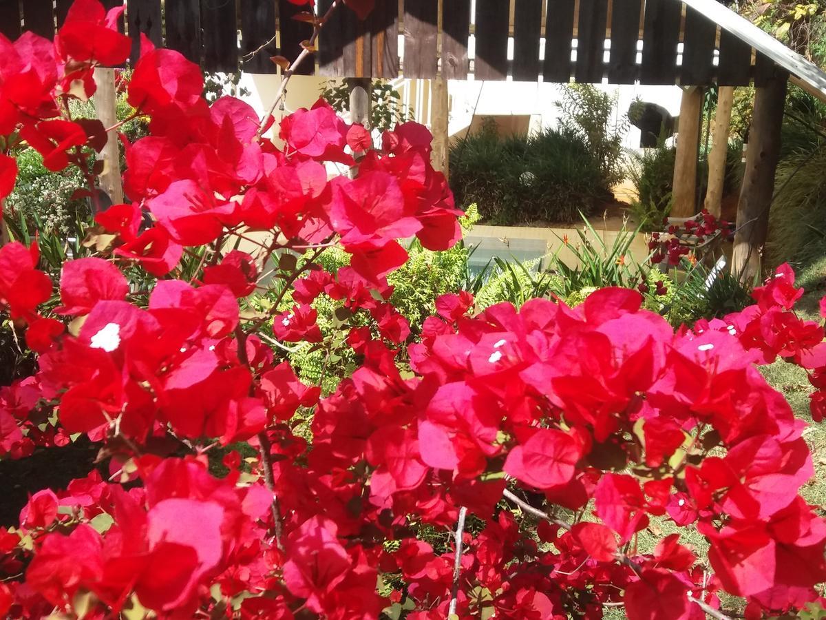 San Isidro De El General La Princesa Hotel מראה חיצוני תמונה