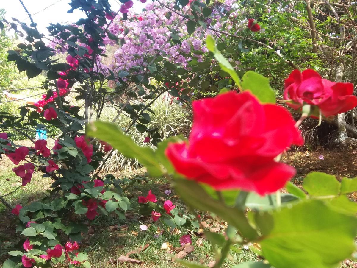 San Isidro De El General La Princesa Hotel מראה חיצוני תמונה