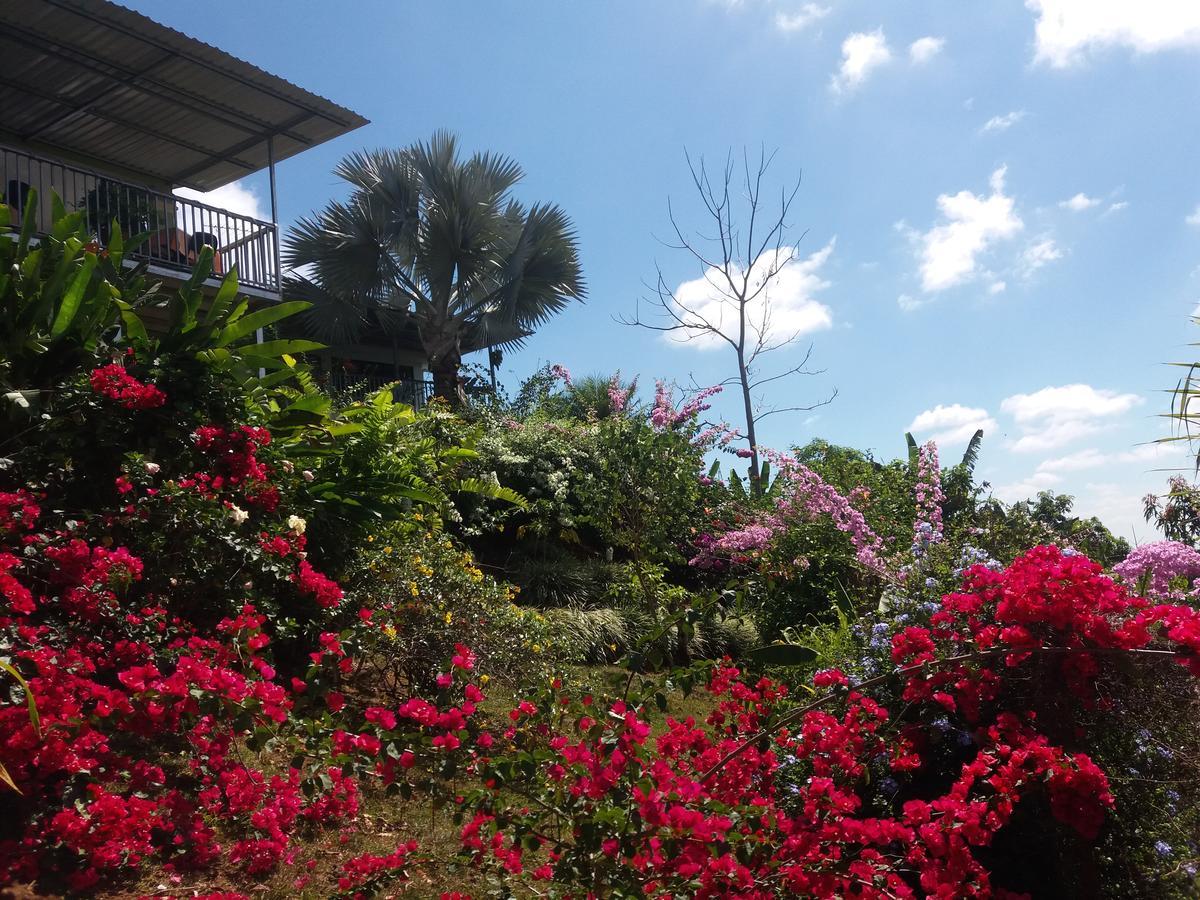 San Isidro De El General La Princesa Hotel מראה חיצוני תמונה