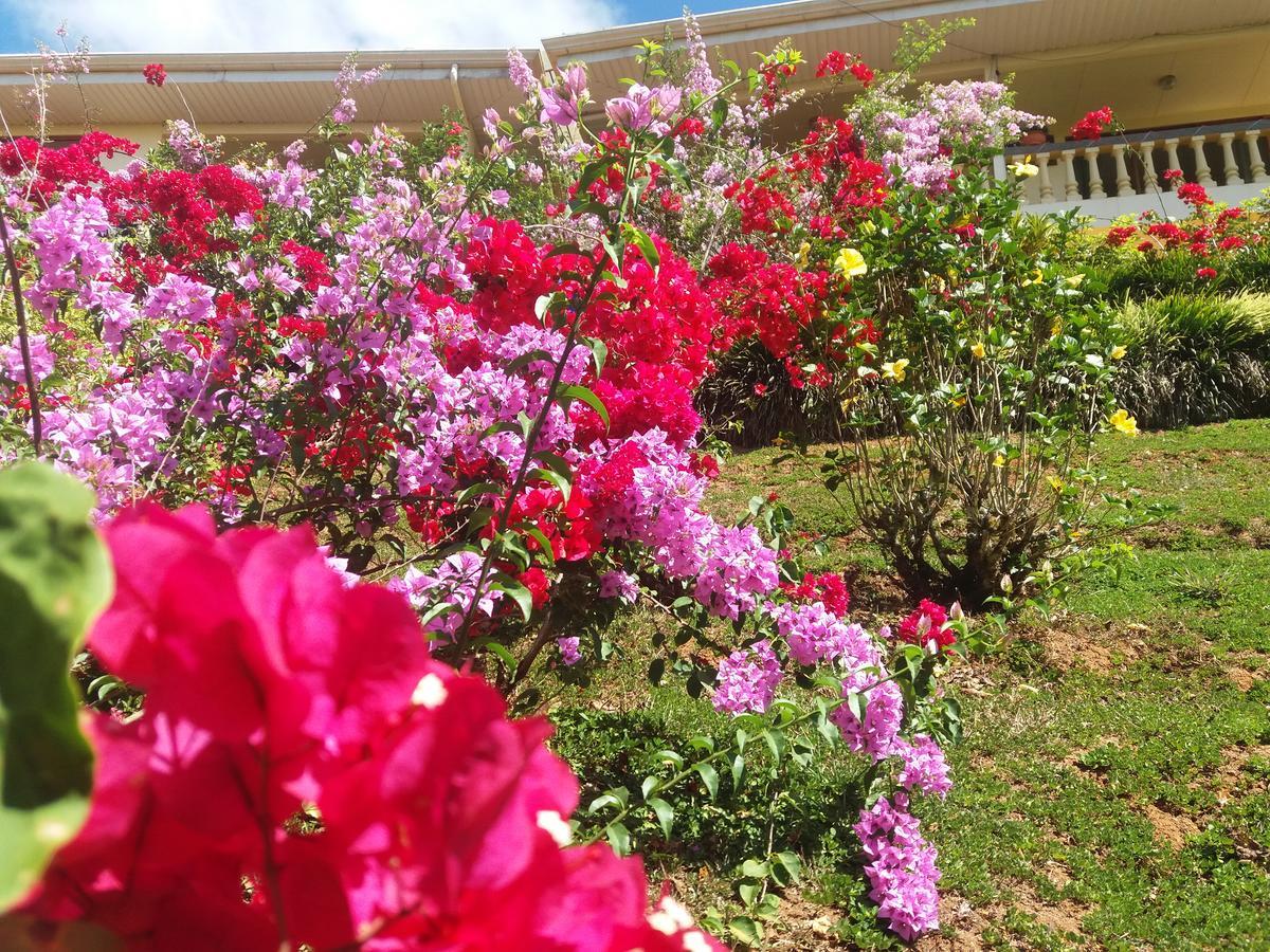 San Isidro De El General La Princesa Hotel מראה חיצוני תמונה