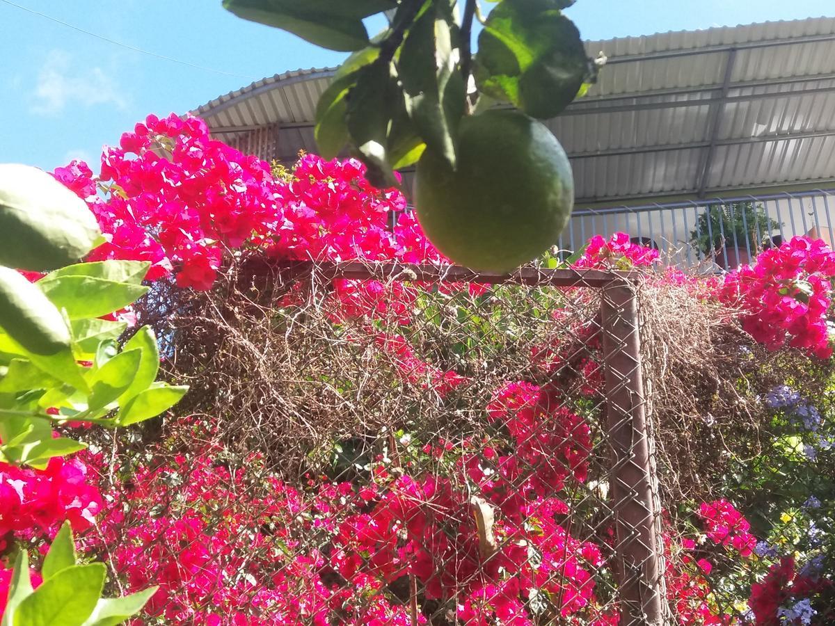 San Isidro De El General La Princesa Hotel מראה חיצוני תמונה